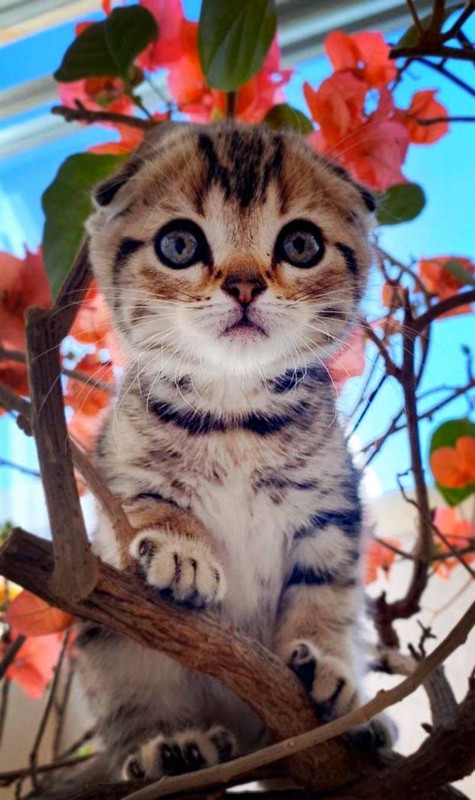 1599464643801149.jpg 懵懂-胡立军.jpg